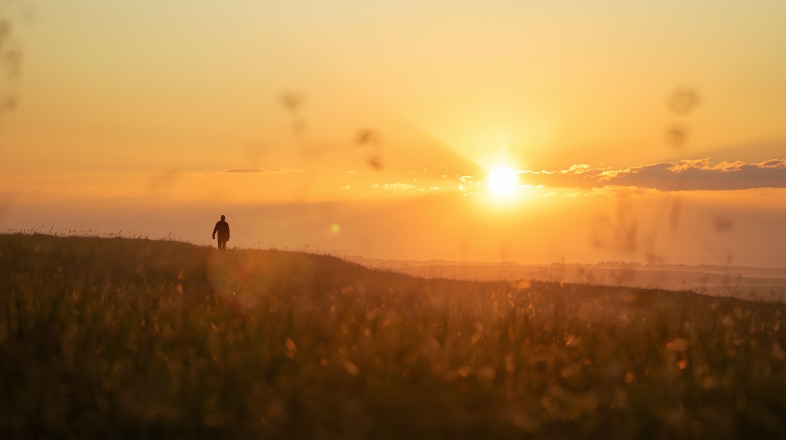 Chasing the Sun, Finding Ourselves Somewhere Between Dreams and Motion